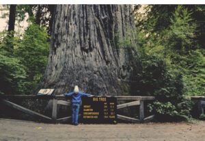 Child standing at the base of very ancient tree whose trunk is very wide